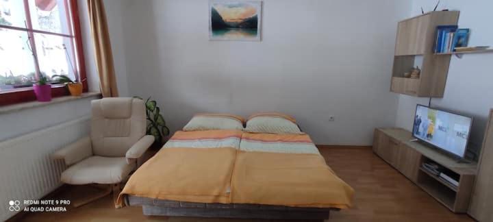 Apartmaji Bostjan Pristavec Kranjska Gora Bagian luar foto
